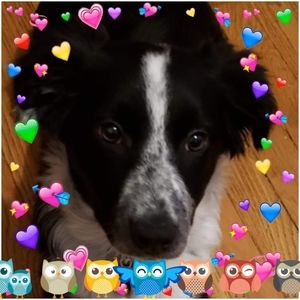 Meet your Posher, Toni